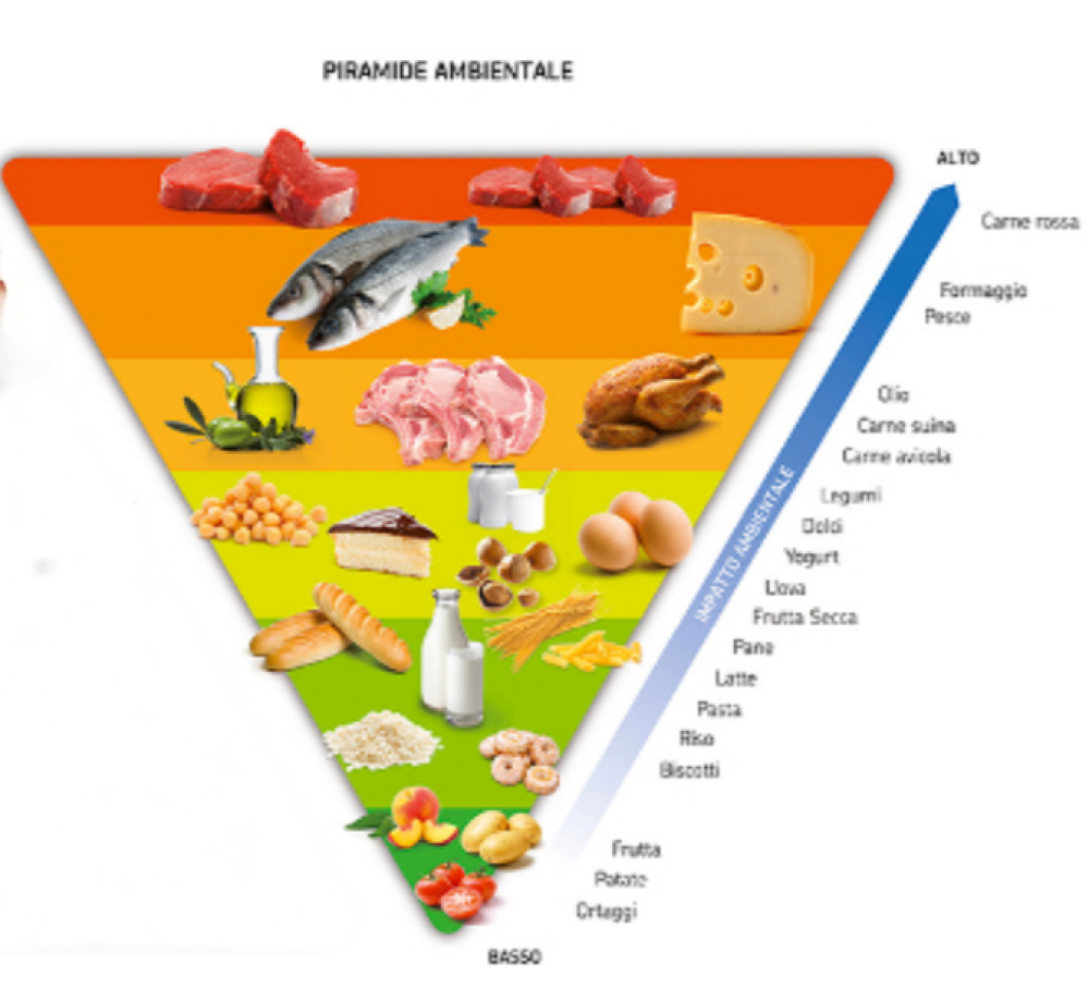Dieta sostenibile: cos’è, come funziona e un menù di esempio